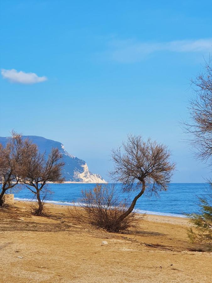 La Finestra Sul Conero Apartments Numana Dış mekan fotoğraf